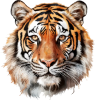 Animaux